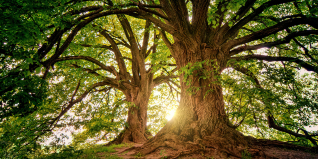 Building Wealth with a Long-Term Investment Strategy